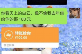 安陆为什么选择专业追讨公司来处理您的债务纠纷？